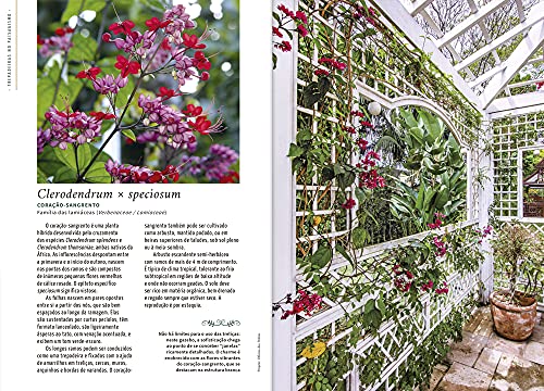 Trepadeiras no Paisagismo (Coleção - 3 Volumes)