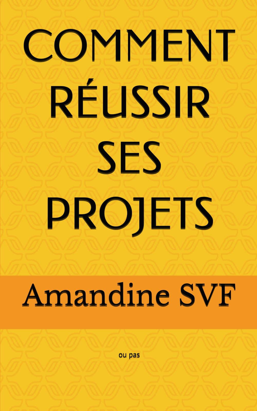 COMMENT RÉUSSIR SES PROJETS: ou pas