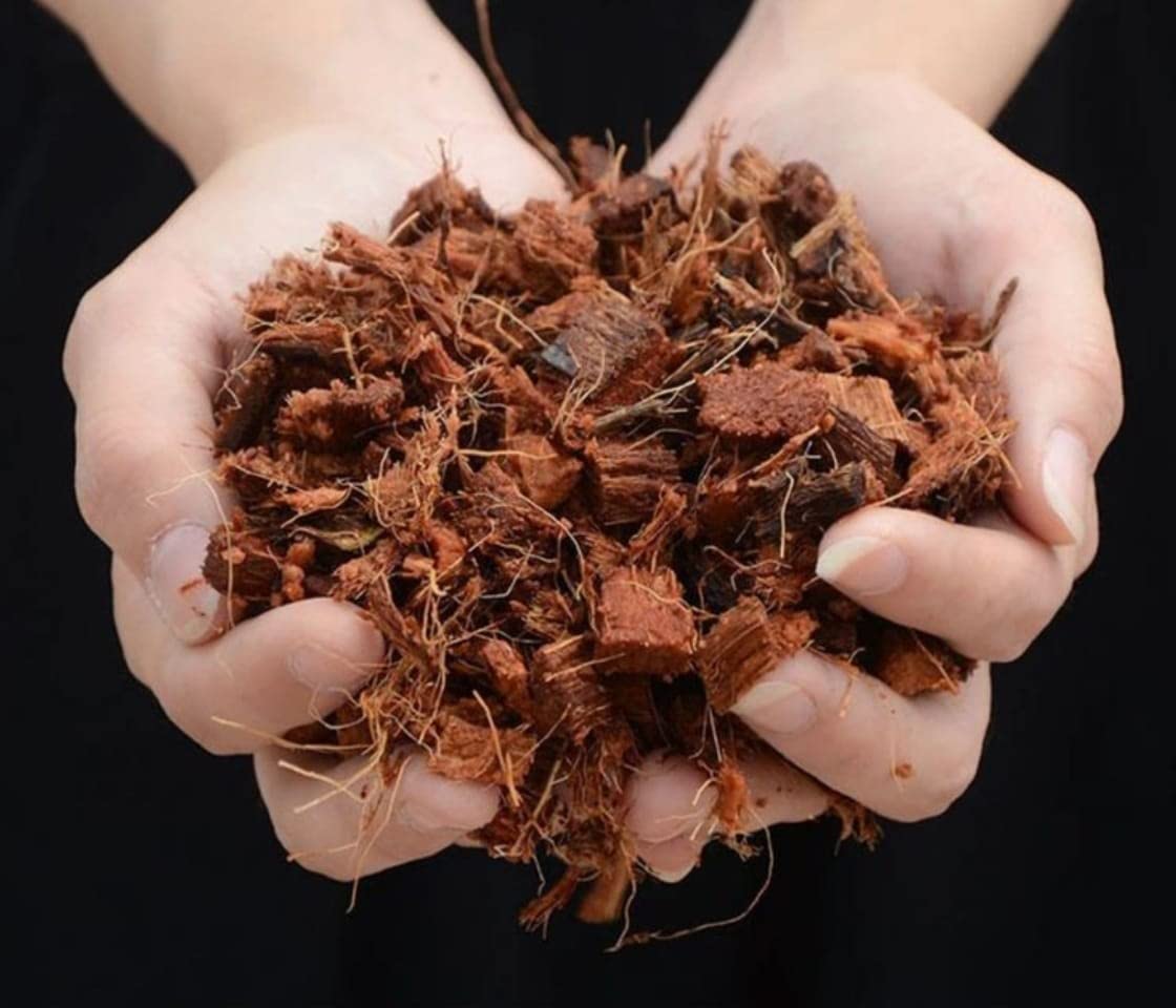 1 KG of Good and Fresh Quality Coco Chips Packet for ADENIUM , Orchids and Garden Soil (B0BD5RKJY4) Amazon Price History, Amazon Price Tracker