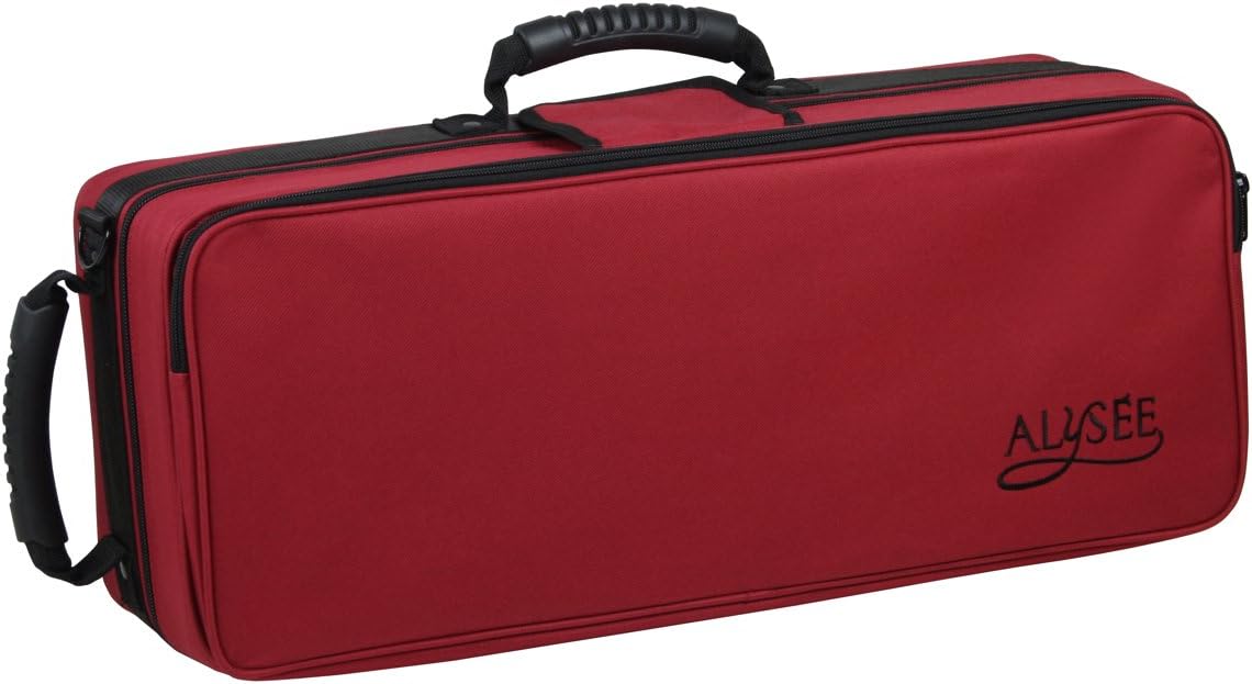AE Light Trumpet Case