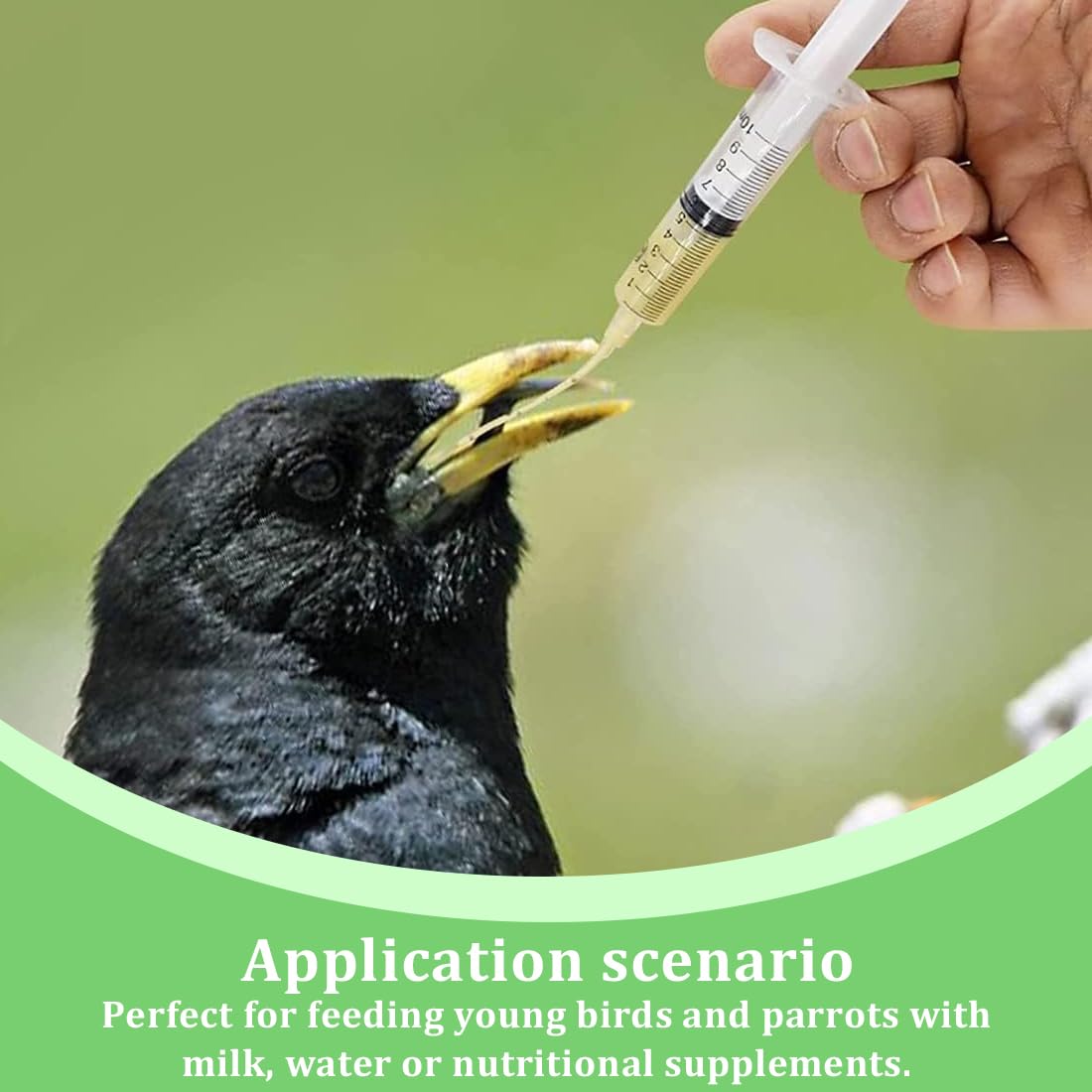 20 pezzi Alimentatore Pappagalli,Alimentatore Pappagalli Trasparente Uccelli Alimentazione Tubi Veloce Alimentazione Tubo per Bambino Pet Uccelli