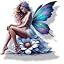 Fairy Violet