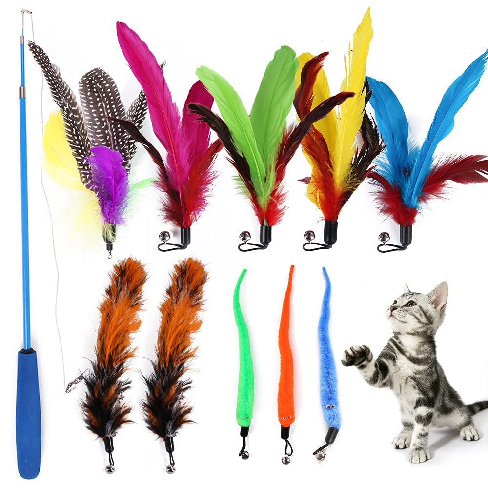 See full amazon price history chart for ANNIE Retractable Interactive Cat Teaser Rods, 11 Pcs Replacement Colorful Feather Refills with Bells Kitten Toys Variety of Vibrant Colours - Activity Toys to Exercise Cats and Kittens ANNIE Retractable Interactive Cat Teaser Rods, 11 Pcs Replacement Colorful Feather Refills with Bells Kitten Toys Variety of Vibrant Colours - Activity Toys to Exercise Cats and Kittens (B0CTFJ7QY3) Amazon Price History, Amazon Price Tracker