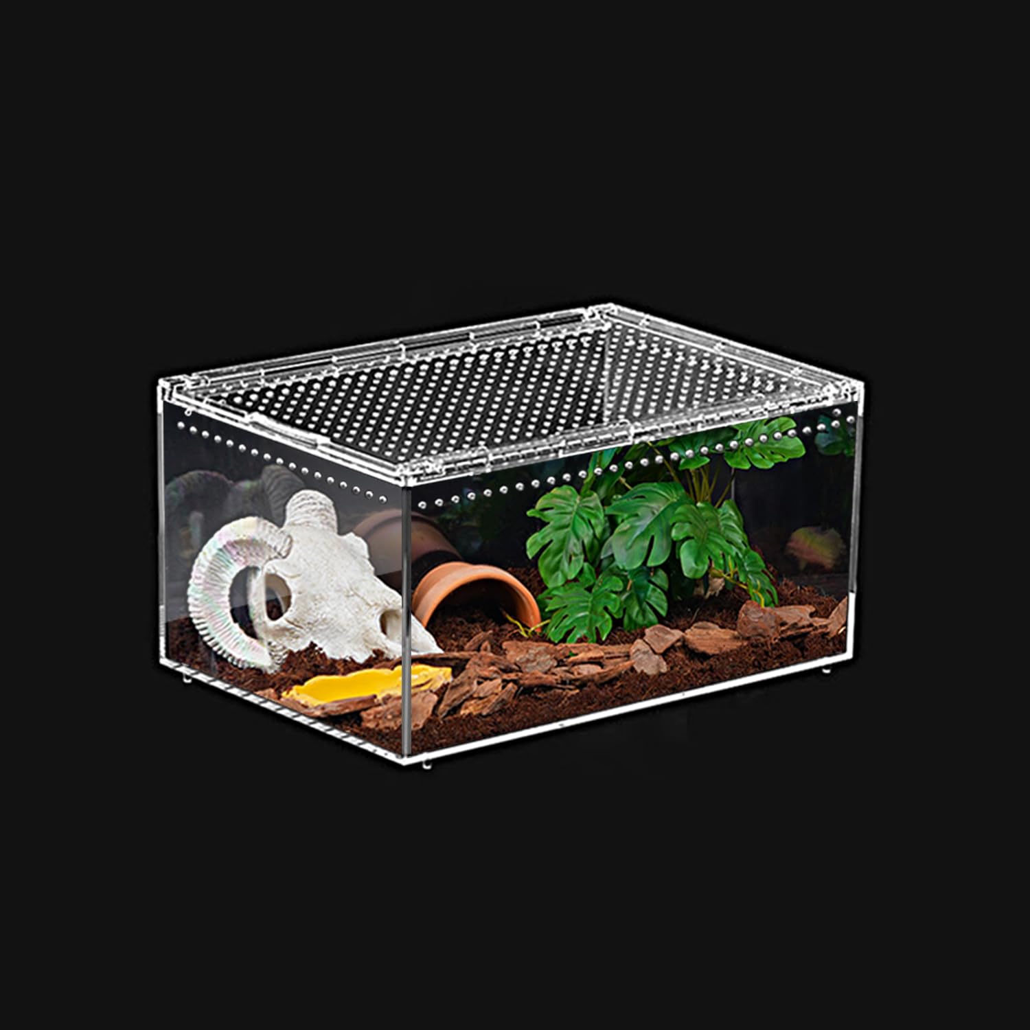Terrario per rettili PC 30,5 x 20,3 x 15,2 cm, recinzione per tarantola, kit di avviamento per serbatoio di ragno, habitat di granchi eremiti, recinzione lucertola, custodia per insetti, gabbia per