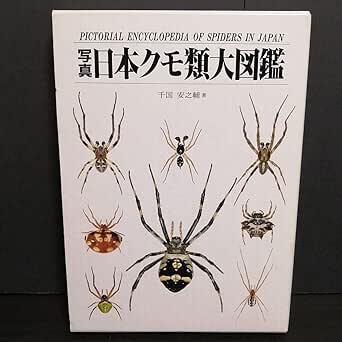 クモ ペット 飼育 原色日本蜘蛛類大図鑑 保育社の通販 by 猫麿's