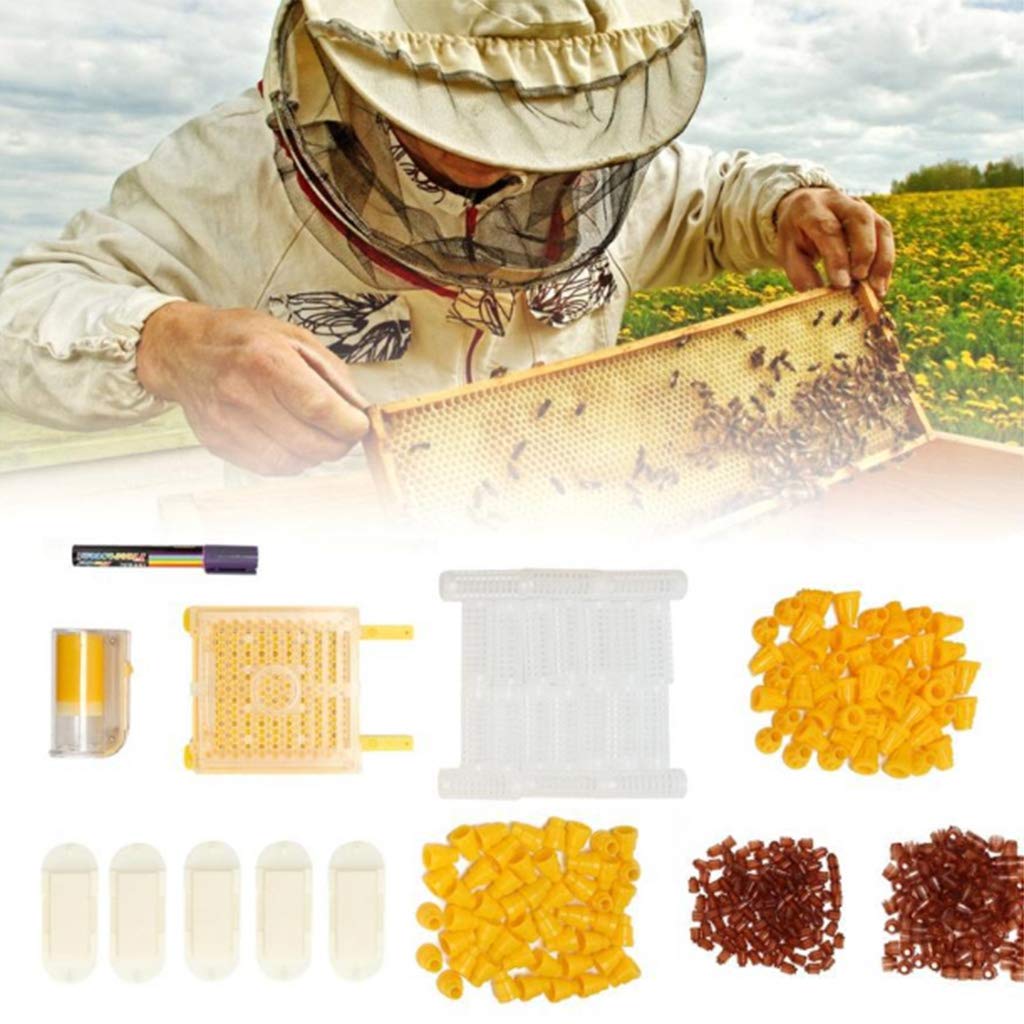 Kit complet d'élevage de la reine Jenter Queen pour l'élevage des abeilles, pour enlever les abeilles, mangeoires à oiseaux suspendues pour l'extérieur pour l'extérieur Mangeoire à oiseaux et poteaux