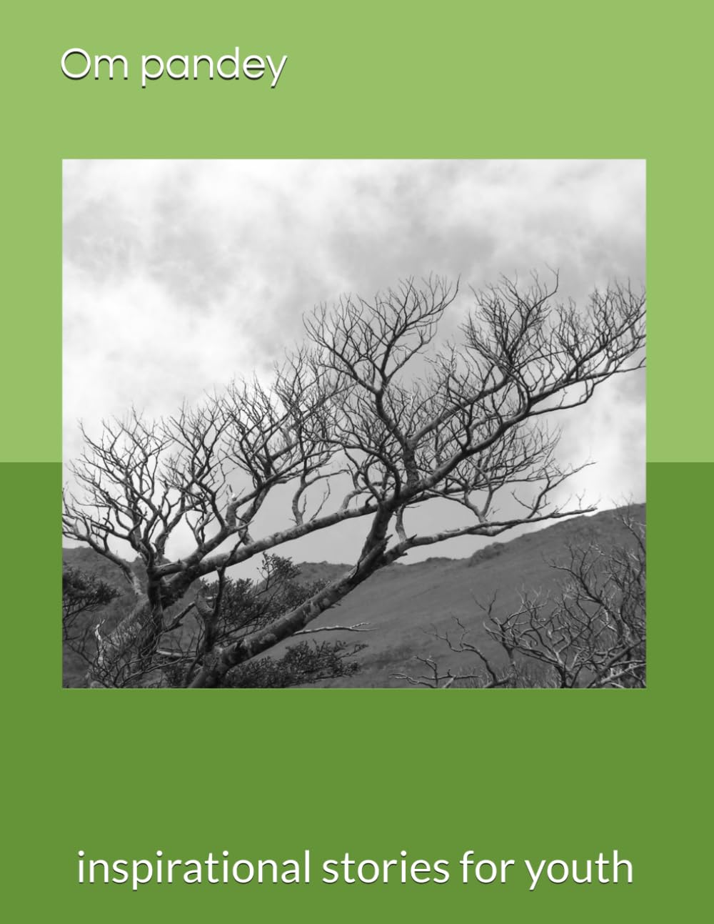 Who Am I?: inspirational stories for youth
