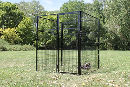 K9 Kennel Store 7' Tall 8â€™ X 8â€™ Welded Wire Basic Dog Kennel System