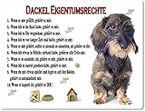 Merchandise for Fans Blechschild/Warnschild/Türschild - Aluminium - 20x30cm Eigentumsrechte Motiv: Dackel Rauhaardackel sitzend - 07