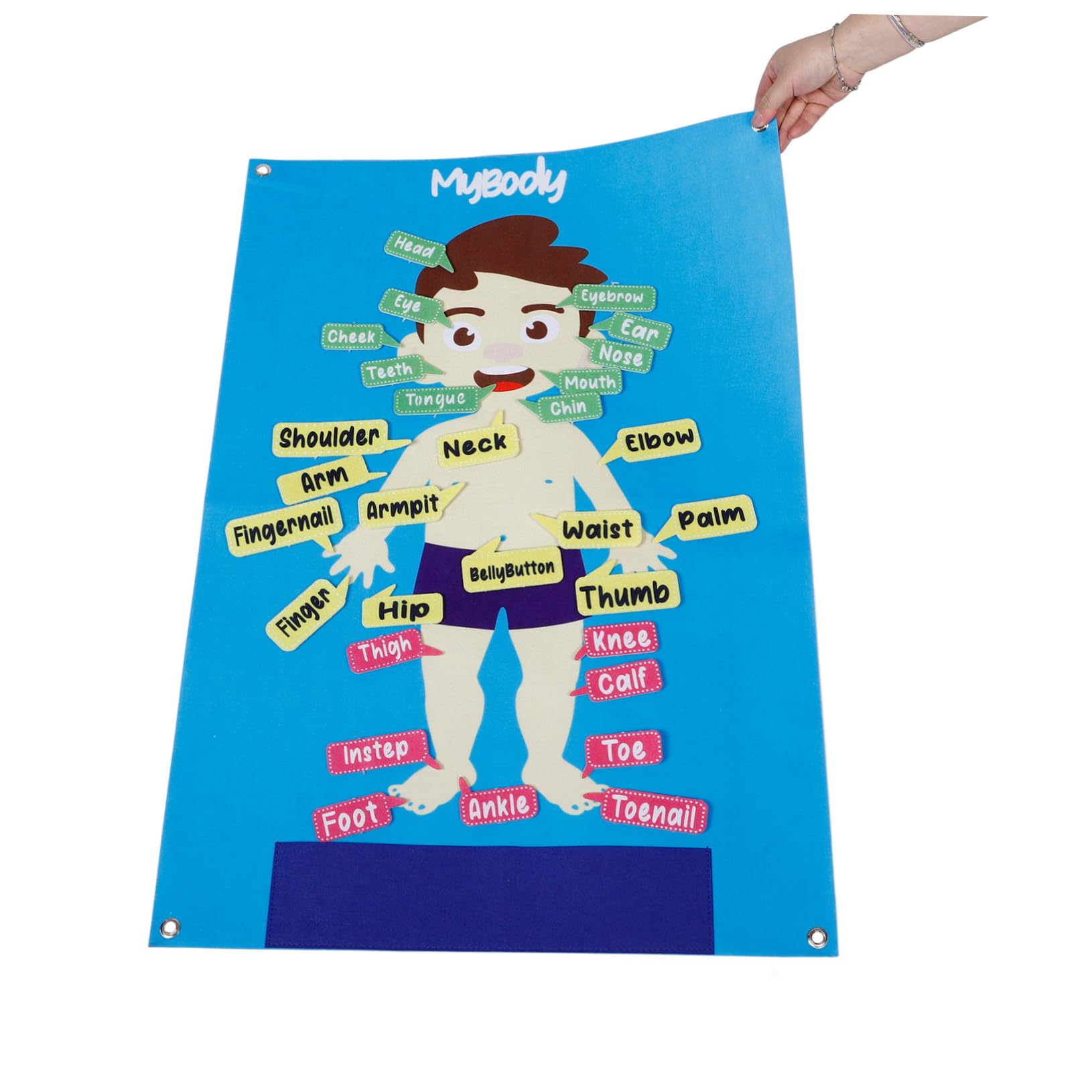 BESPORTBLE Tablero de Fieltro Forma de Cuerpo Humano para Niños en Edad Preescolar, 82X56 CM, Herramienta Interactiva de Aprendizaje Práctico para Actividades Grupales y Narración