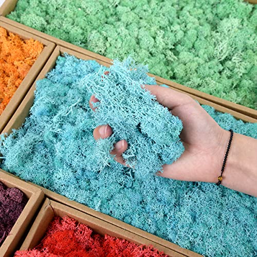 Gift_Source 1.4Oz Fake Moss Artificial Moss Floral Decorative Preserved Reindeer Moss Craft Moss For Potted Plants, Terrariums Gardening, Wall Art, Floral Project, Wedding, Centerpieces Decor #TOP2