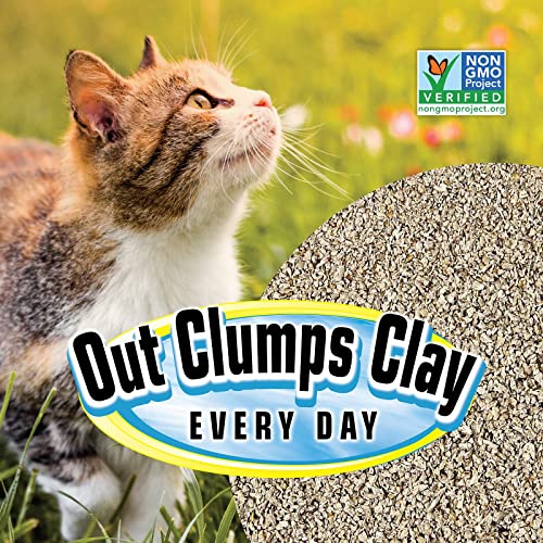 Smartcat All Natural Clumping Litter, 20-Pound (6506), (Pack Of 1), 320 Ounce. #TOP3