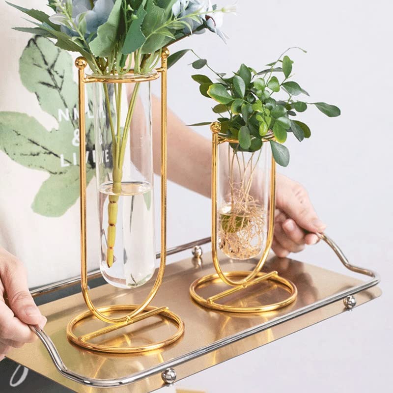 2pcs Nordic Wire Vase Simple Glass Vase Gold Frame Flower Stand