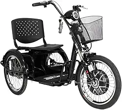 Duos Triciclo Elétrico 800W Ré Farol e Alarme Fox Preto com Cestinha para Adultos e Crianças Mais Velhas