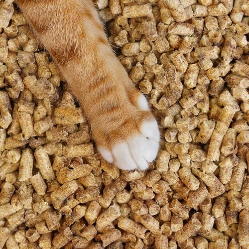 2 x 30 Liter | PetKaiser Premium-Holzpellets Katzenstreu – aus 100 % unbehandeltem Kiefernholz | Deutsch entwickelt für hervorragende...