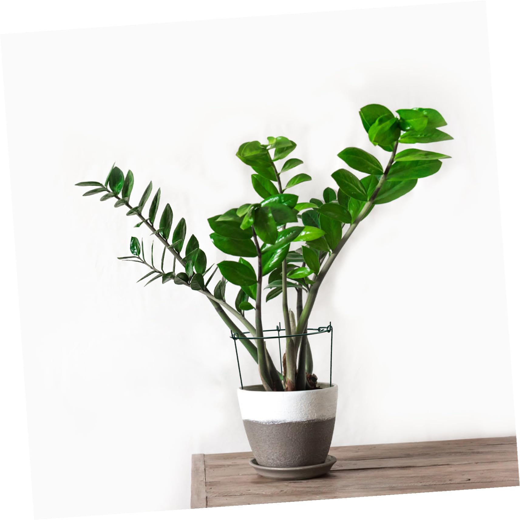 Lurrose Lot De 3 Tuteurs pour Plantes Grimpantes en Métal Vert 25/40 Cm Support Extérieur Jardin Structure Ouverte Solide