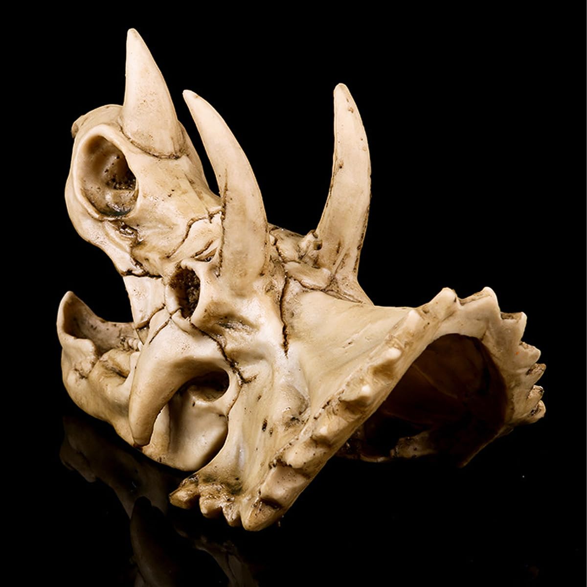 Réplica de Modelo de cráneo de Triceratops de Resina, fósil de cráneo de Diente de Dinosaurio, Accesorios de fotografía, Herramienta de enseñanza, Ornamento para el hogar
