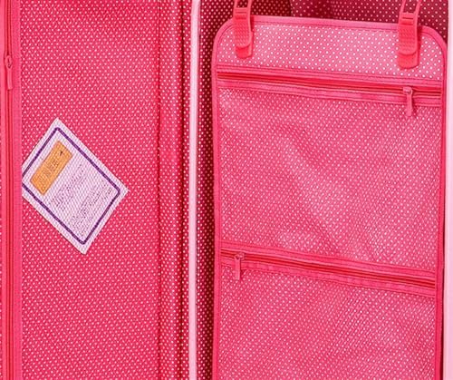 Luggage Suitcase Carry On Luggage Vintage Luggage Sets,2 Piece Spinner Wheels Hard Shell Travel Carry On Suitcases Checked Luggage4