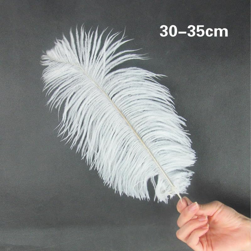 Amazon | 10個 染色カラー 30-35cm ダチョウの羽根 ホーム