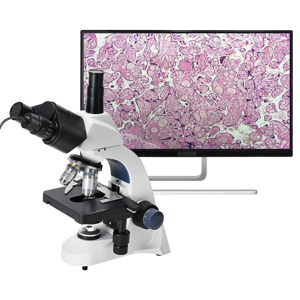 HAYEAR 5MP USB Digitale Microscopio Fotocamera USB Obiettivo Eyepeice Digitale Tpye C USB Videocamera per Sience Education Lab Reserch con Software di Calibrazione Libero