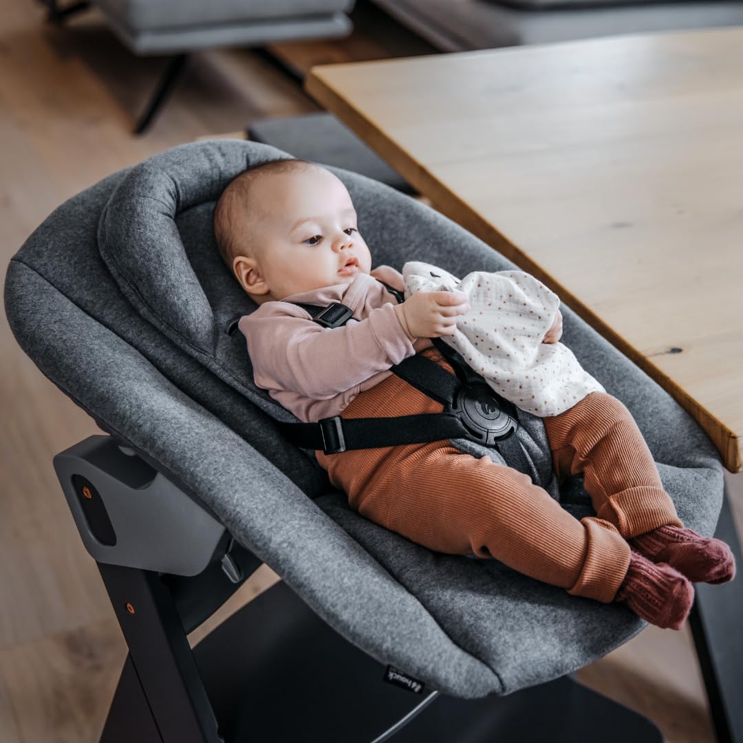 hauck Alpha Move Newborn Set de Trona Bebe Evolutiva con Nueva Hamaca Premium, Tronas de Bebe desde el Nacimiento con Ruedas, Hamaca Bebe, Bandeja y Cojín - Natural/Gris oscuro