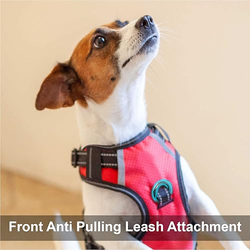 Miniatura 2 de Puwihoe Arnés para perro sin tirones, arnés reflectante para pasear para perro con asa de fácil control y clips delanteros y traseros, arnés de