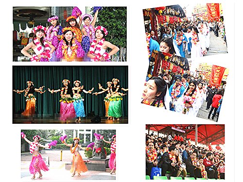 Bfdyy 4Pcs Hawaiian Leis Hula Dance Garland Artificial Flowers Neck Loop(4 Colors,Thickened) #TOP6