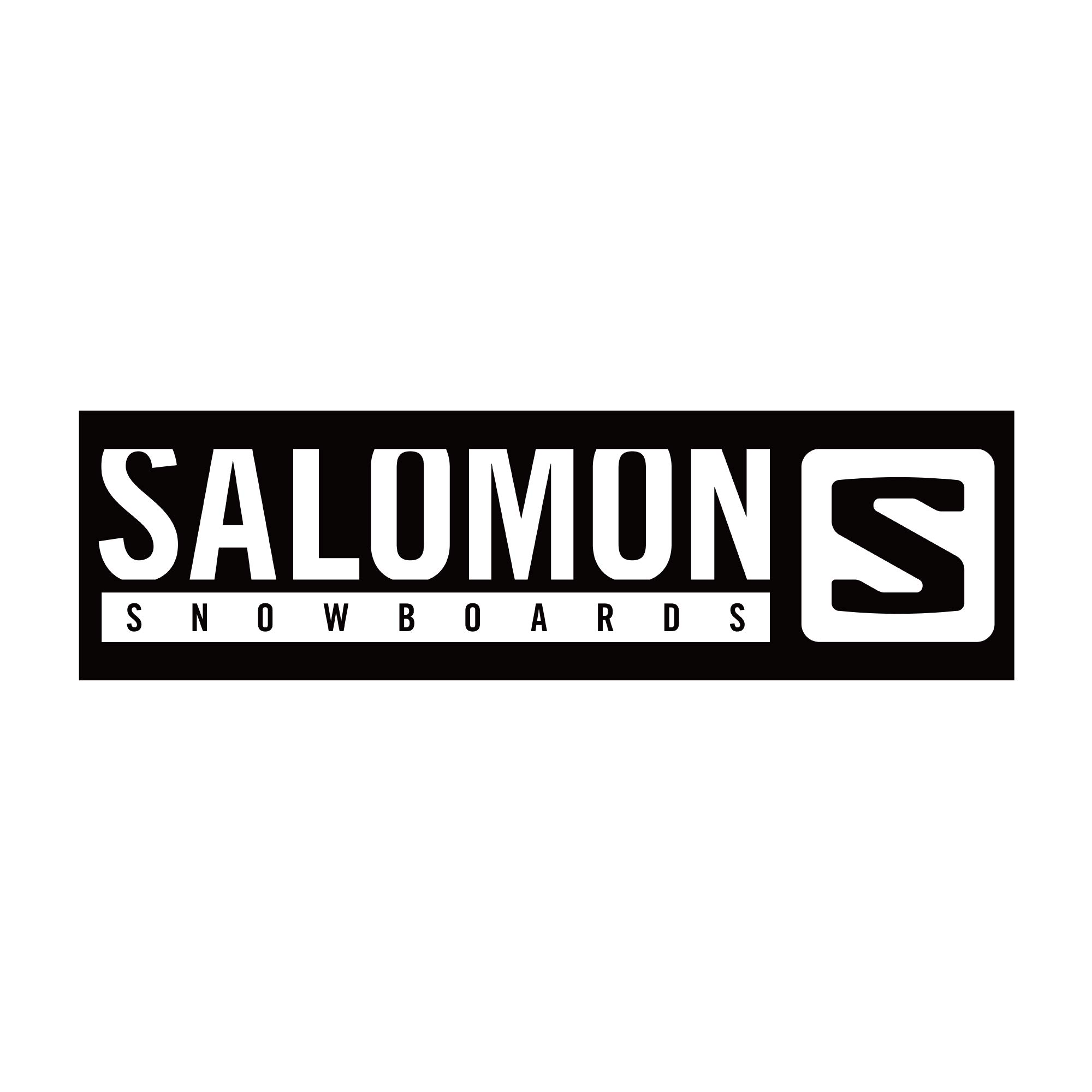 SALOMON　サロモン　ステッカー Amazon | SALOMON(サロモン) スキー スノーボード ステッカー SLMN