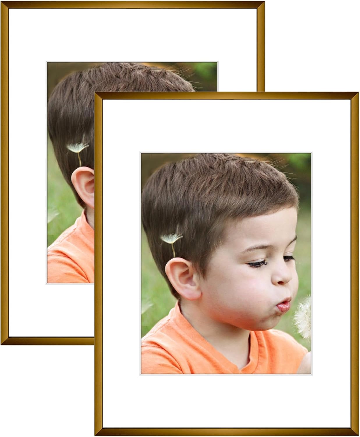 Frametory, 12x16 Bronze Aluminum Picture Frame - Set of 2 - Ideal for Displaying 8.5x11 Photos with Mat or 12x16 Without Mat - Real Glass Front - Simple Gallery Wall Frames for Art Prints and Posters