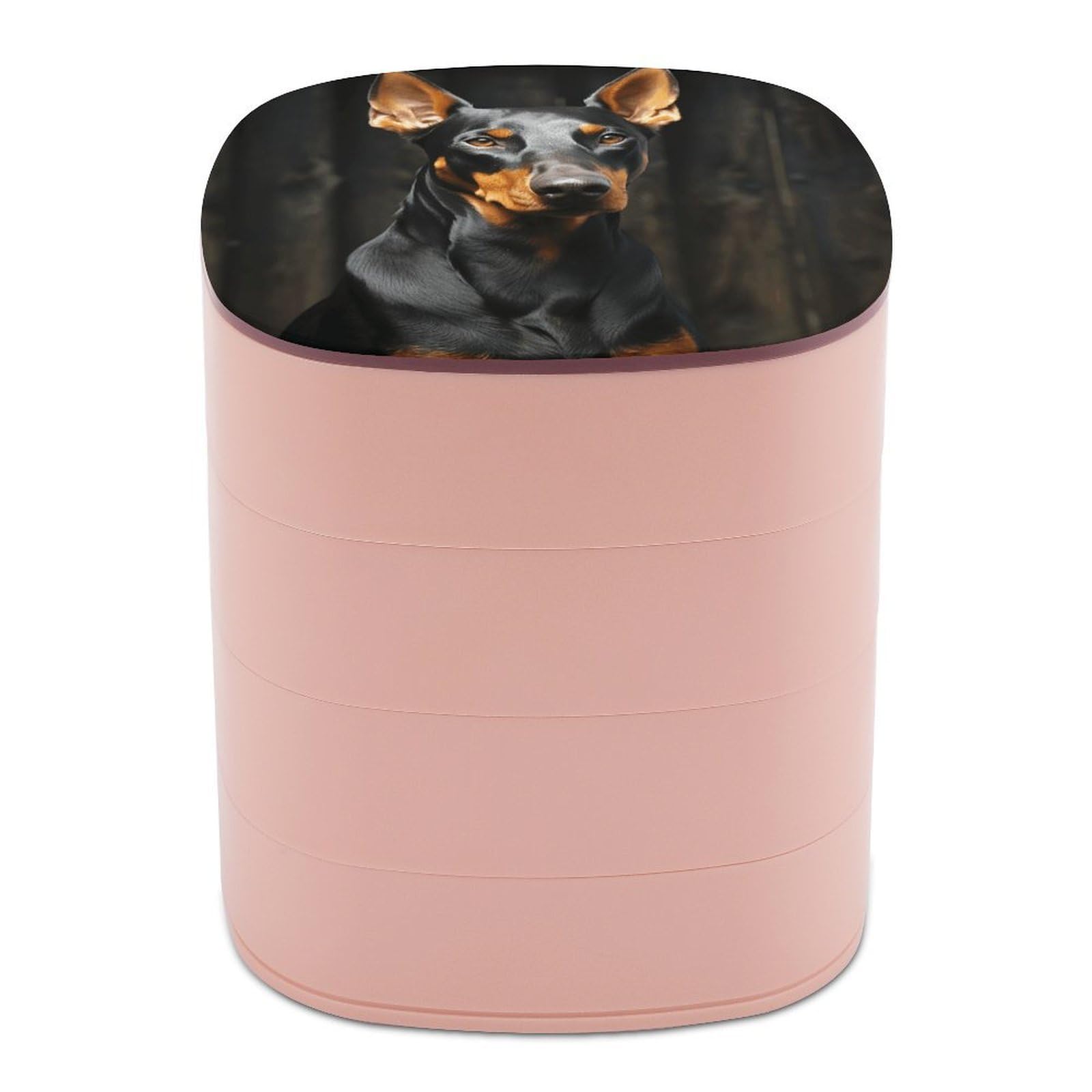 VstaDank Doberman Jewelry Organizer Small Travel Earring Storage Box with Mirror 4-Layer Rotating Travel Jewelry Tray Case with Lid Large Capacity Jewellery Holder Case