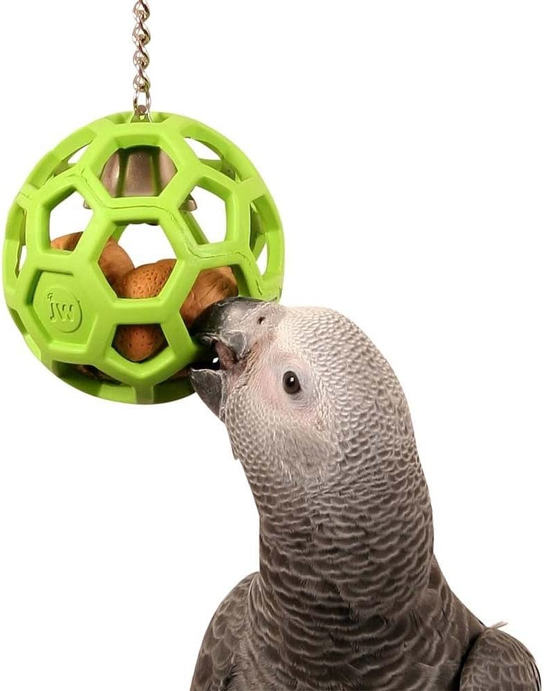JW Pet Company Activitoys HOLee Roller Bird Toy Amazon.ca Pet Supplies