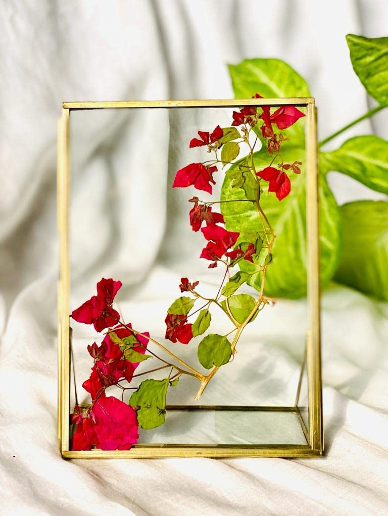 NOUMAN HANDICRAFTS Decorative Metal Gold Vertical|Standing Photo Frame with Pressed Glass|Tabletop (Size-5×7 Inch) (B0BY59QZ6N) Amazon Price History, Amazon Price Tracker