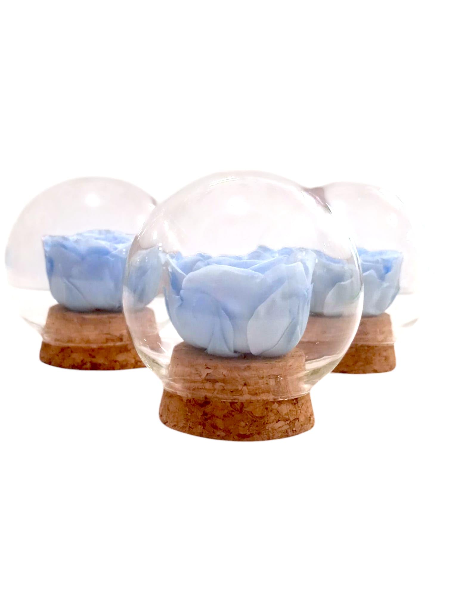 Genérico Rosa Azul Celeste Natural preservada. Cupula de Cristal. Rosa eterna Azul. Comprar Rosas Azules. Flores preservadas. Regalo Original, cumpleaños, Aniversarios, Decoracion. Rosas Azules.