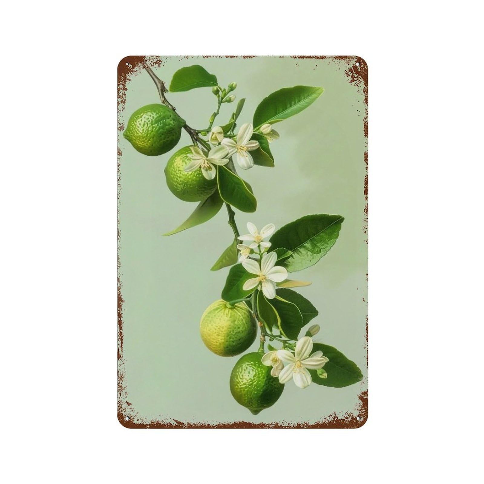 WUJHGRSG Lime Blossom Bough 01 Wall Art Retro Iron Vintage Metal Tin Sign Poster Modern Decor for Home Cofffee Club Bar Shop Style 30x20cm