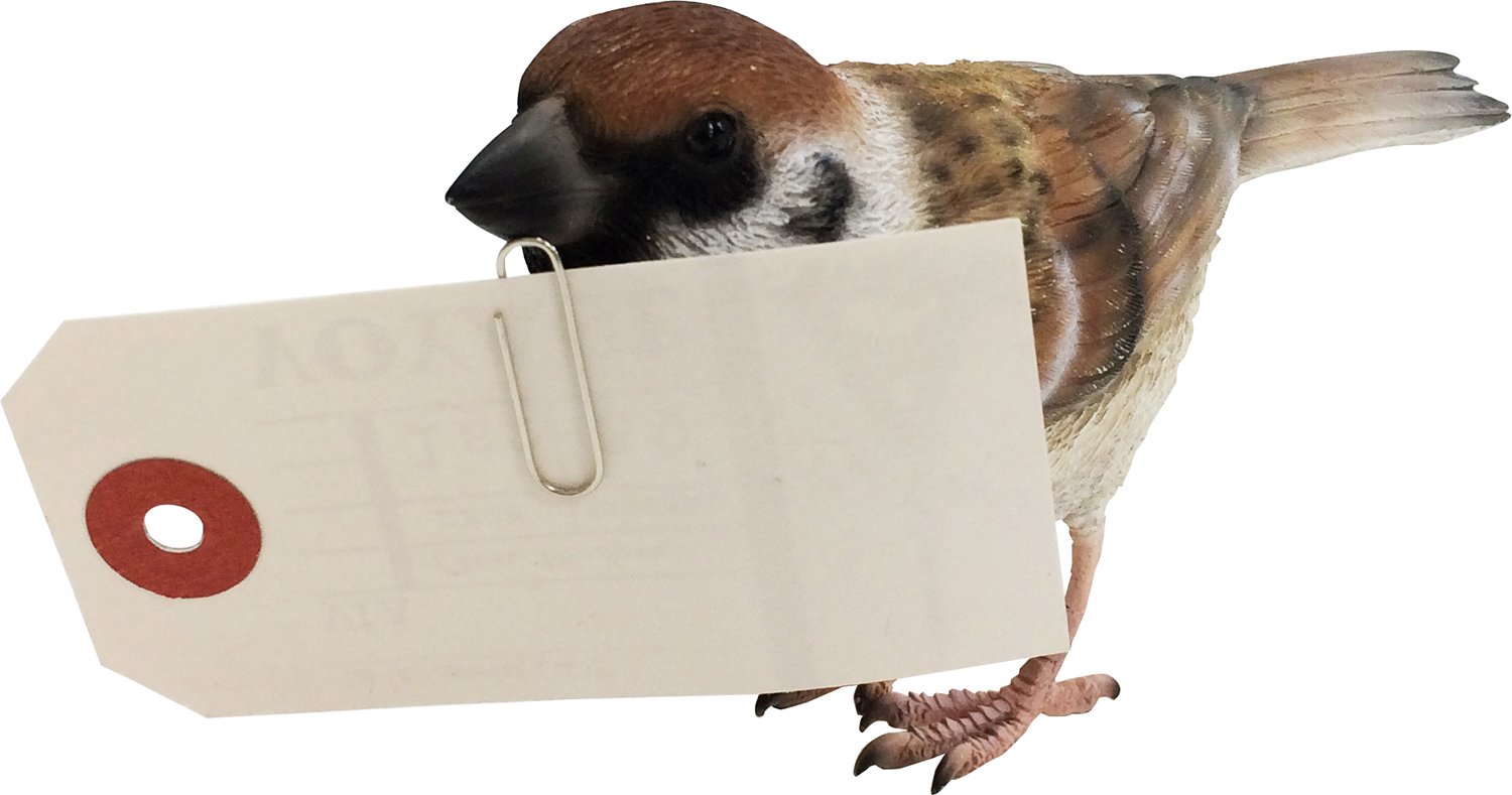 スズメページ Amazon.co.jp: スズメ 雀 オブジェ BIRDIE BILL SPARROW