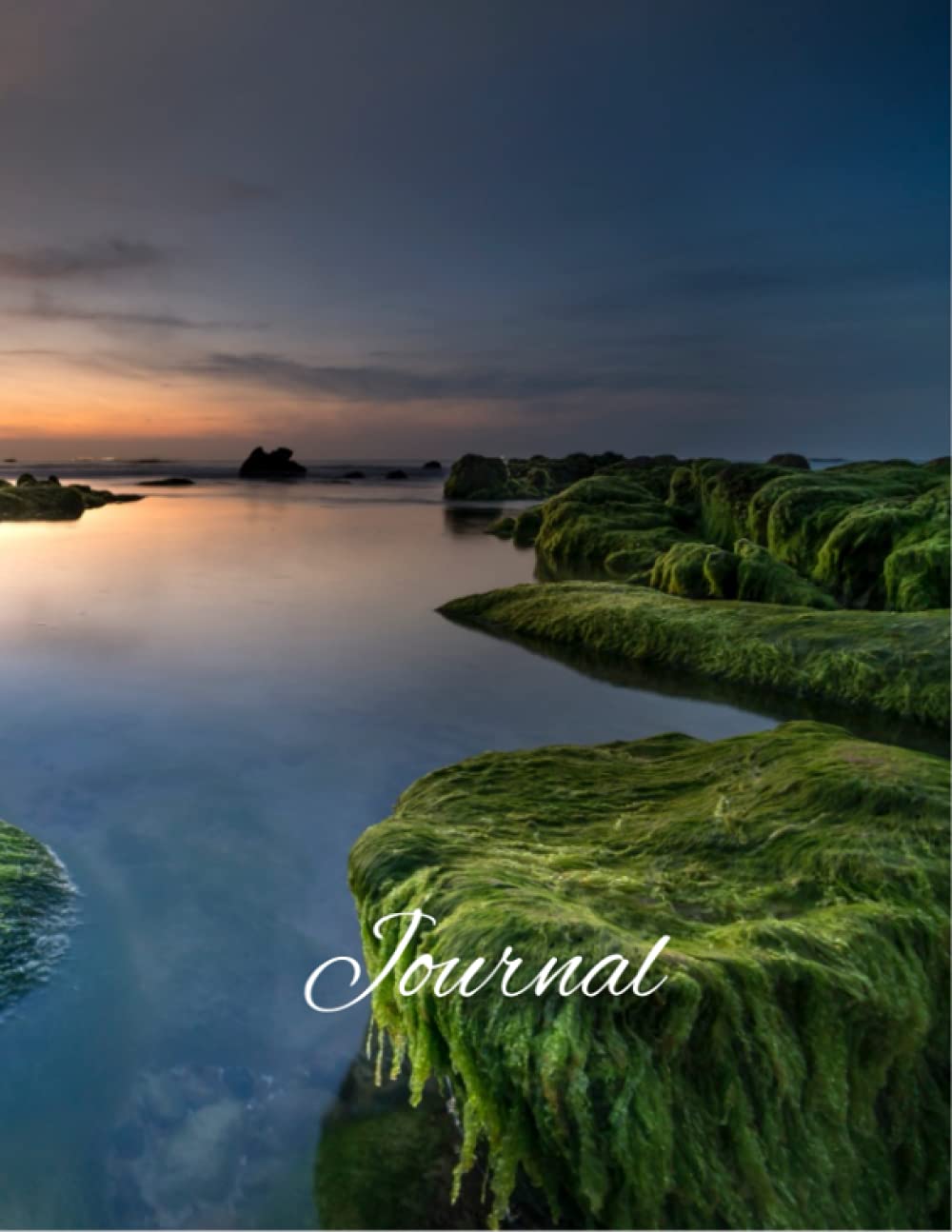 Incredible View Journal