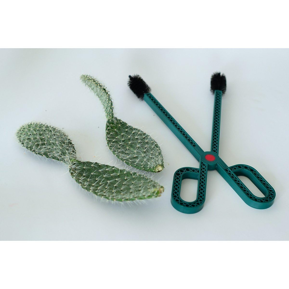 Astuceo Pinza para Cactus