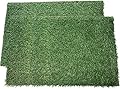 Puppy Potty Pad Grass Mat, Dog Grass Pee Pads, Artificial Turf Pet Grass Mat Replacement for Puppy Potty Trainer Indoor/Outdoor Use - Set of 2 (51 x 63 cm)