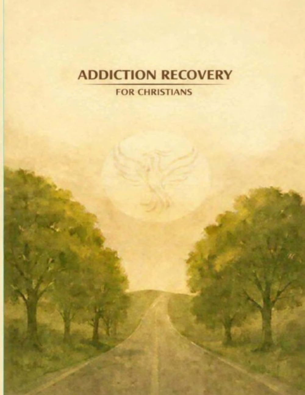 Addiction Recovery: For Christians (Interfaith Sustainable Recovery)