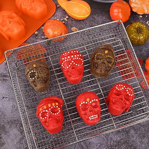 View 4