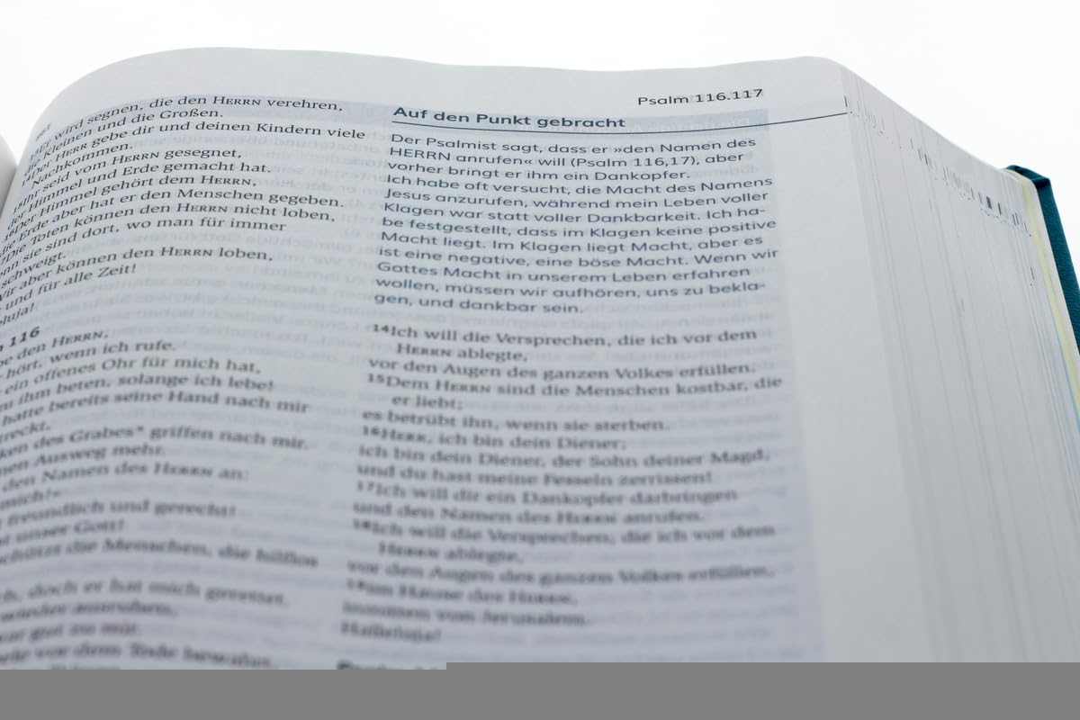 Die Bibel. Lesen. Glauben. Leben. Kunstlederausgabe: Mit Impulsen von Joyce Meyer (Neues Leben. Die Bibel)