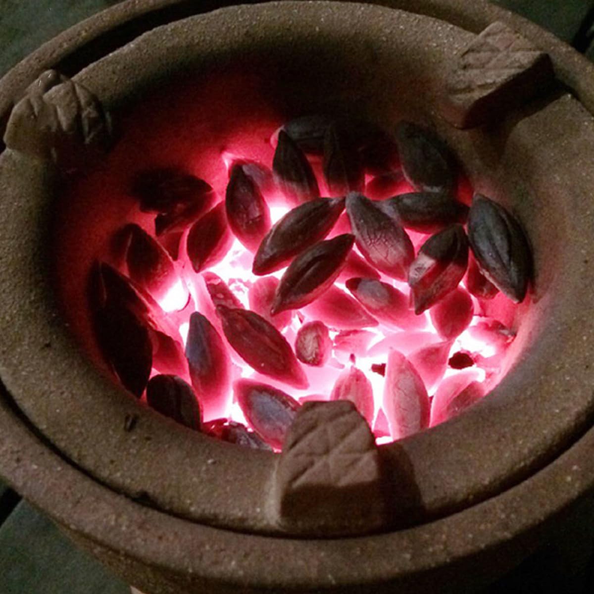 SHINEOFI Carbone di Legna di Ulivo Naturale Nero 500g Sacchetto per Barbecue Outdoor Efficiente e Duraturo per Campeggio e Uso Domestico in Diverse Condizioni Climatiche