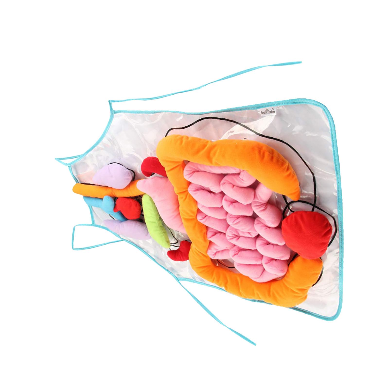 Delantal de Anatomía para Niños 1 Juego de Poliéster, Material Didáctico