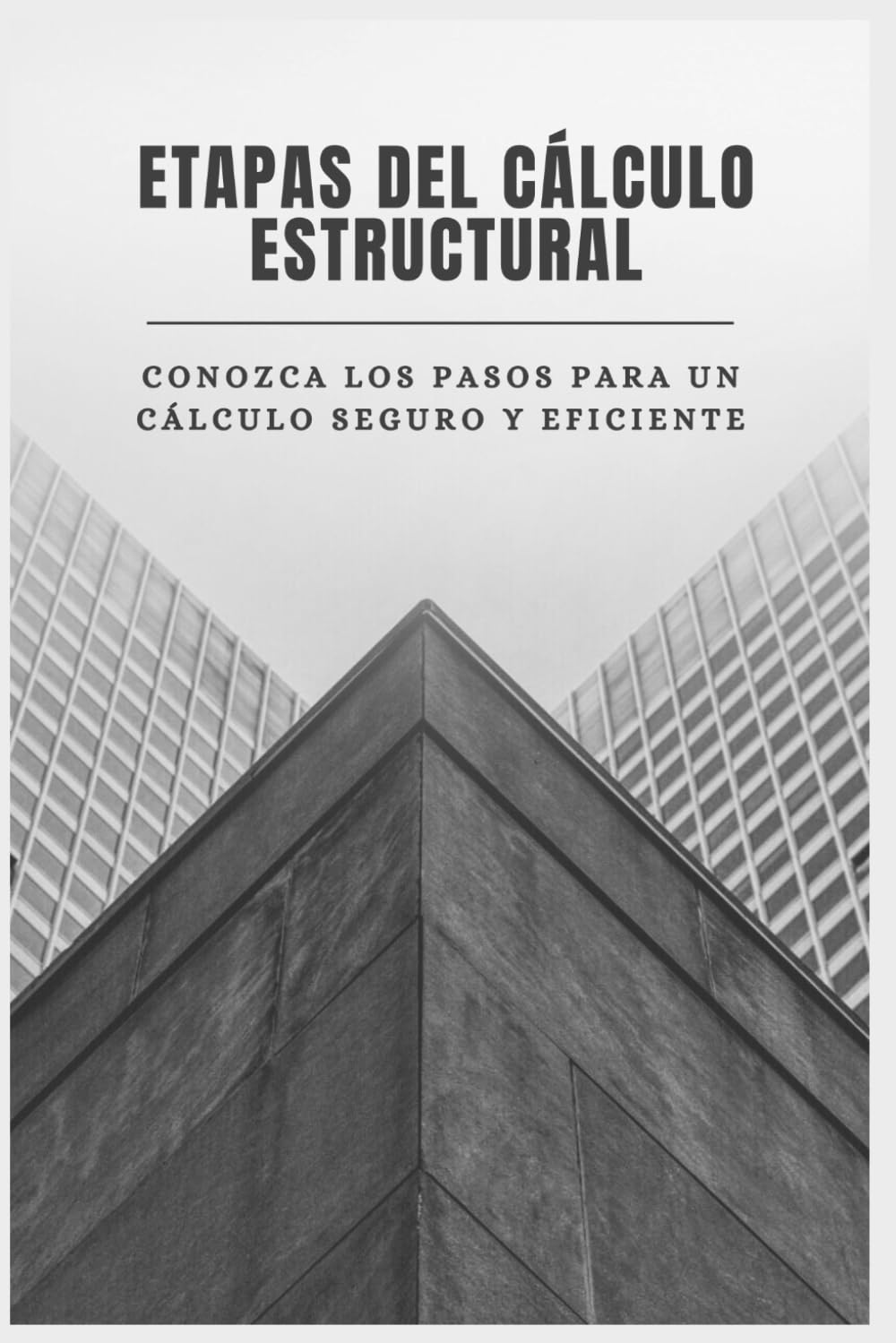 Etapas del Cálculo Estructural: Guía práctica para el análisis, predimensionamiento y dimensionamiento estructural