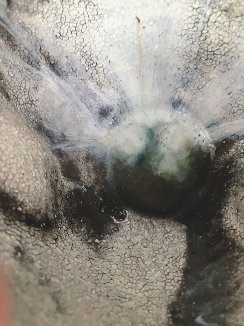 Amazon.co.jp: 阪本健 片口 茶道具 茶海 丹波焼き : 文房具・オフィス用品 