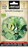 COL ECOLÓGICA CORAZON DE BUEY. De pie corto, repollo voluminoso de forma cónica y muy compacto, que da frutos en invierno y primavera. Rústica y de gran rendimiento