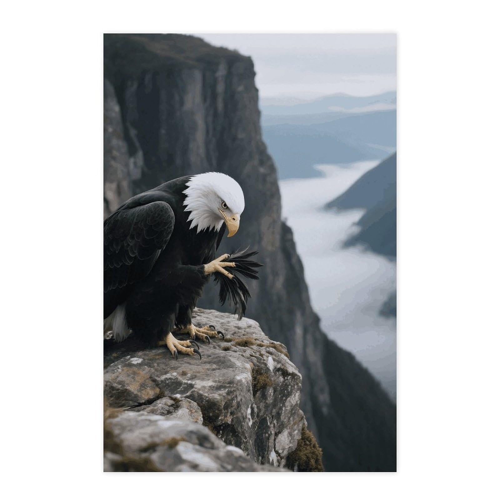 Poster autocollant Aigle en papier amovible pour mur et armoire de bureau