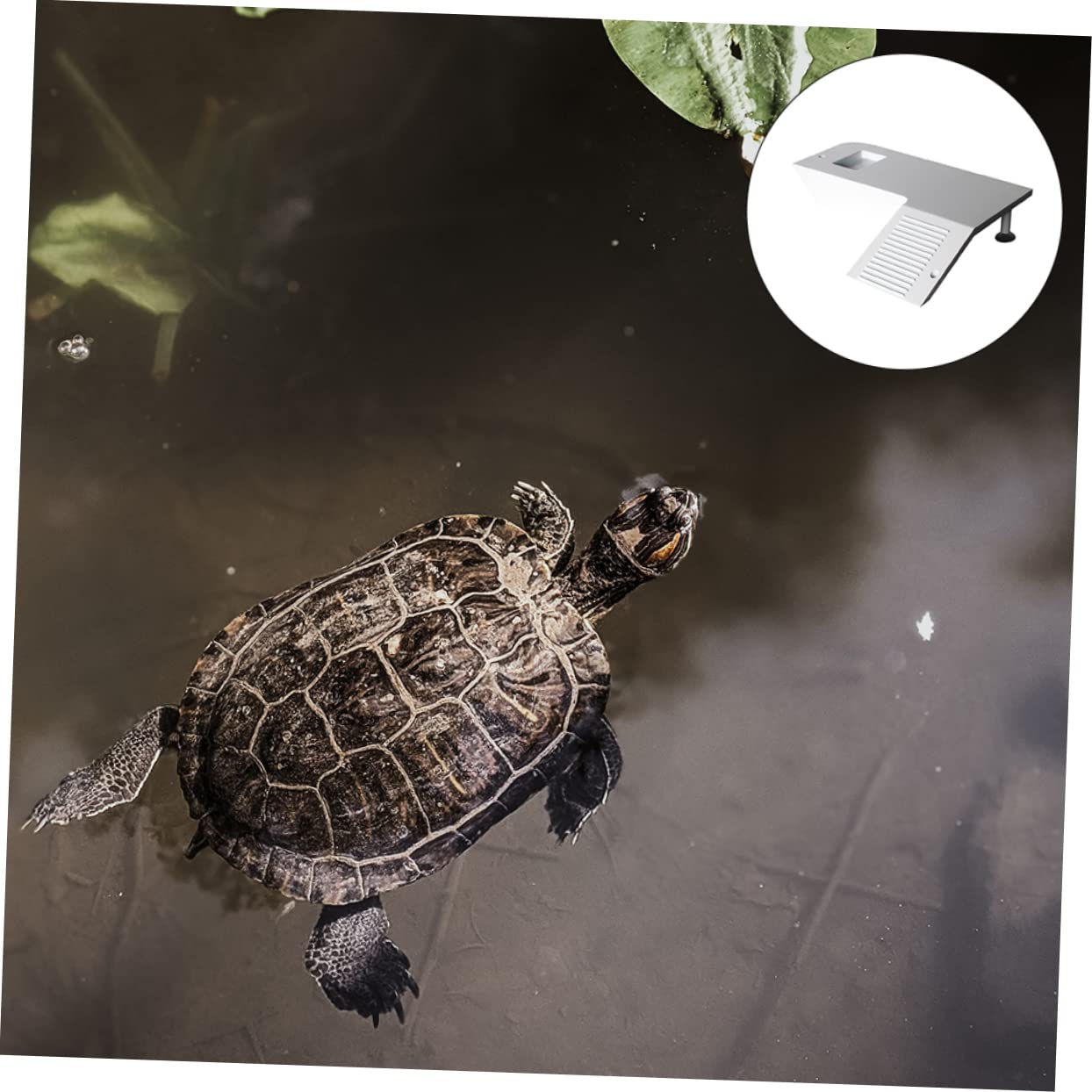 Angoily 2pezzi Piattaforma di Arrampicata per Tartarughe Struttura Gradini per Serbatoi e Acquari Superficie Liscia e Facile da Pulire Accessorio per Rettili e Animali Semi Acquatici
