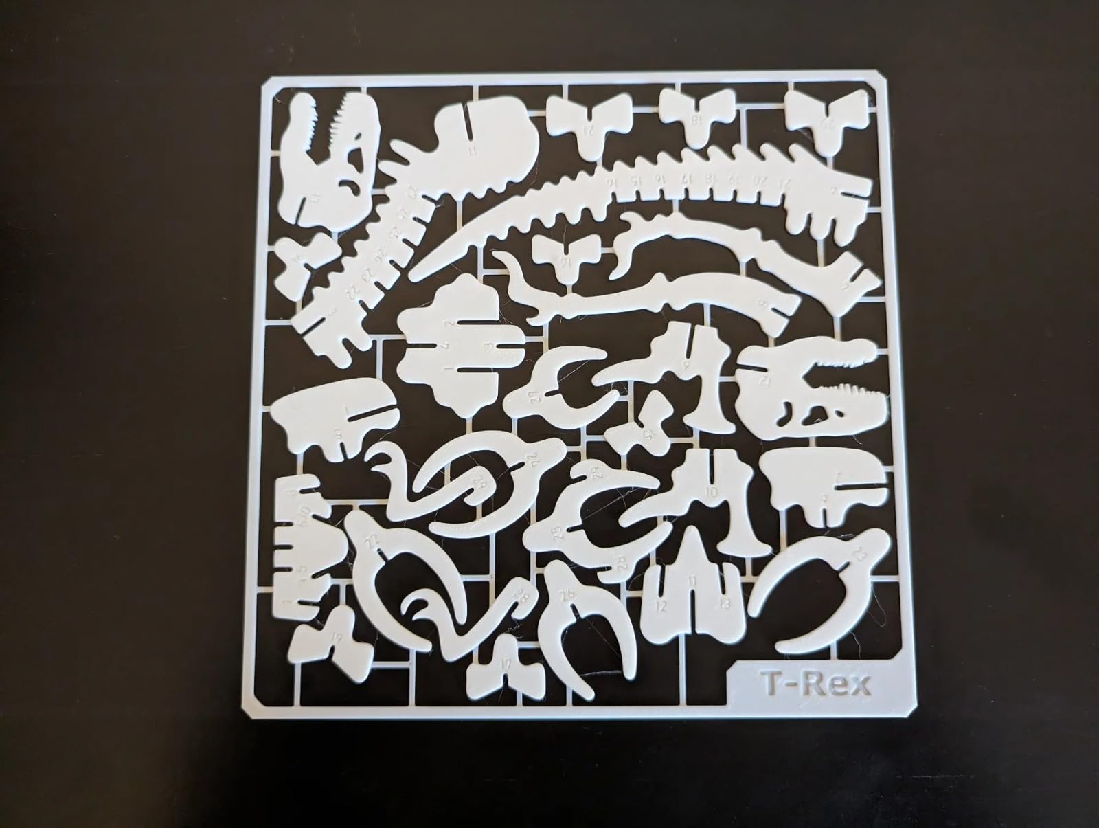 Beoals 3D Puzzle Dinosaur Skeleton Model Kit, White, Educational Assembly Toy 3