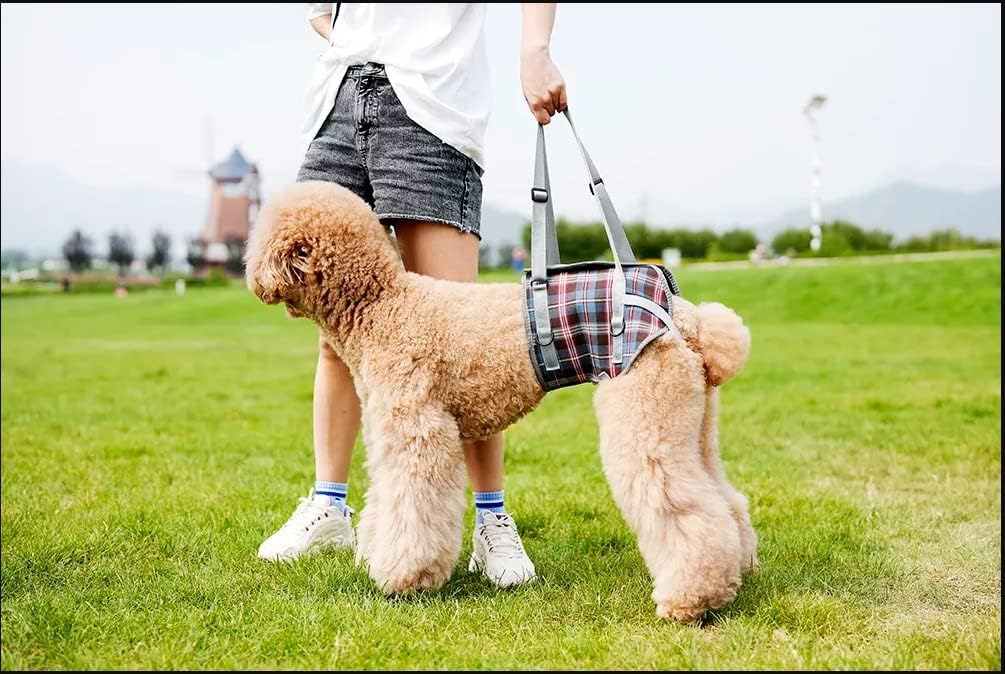 Entry and carrying aid for dogs especially for hip problems for injured elderly or restricted dogs (L), Orange - Image 3